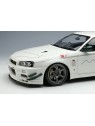 Mine's Skyline GT-R (BNR34) V-spec N1 1/18 Make Up EIDOLON Make Up - 5