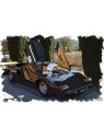 Lamborghini Countach LP400 1974 (Luci del Bosco) 1/43 Make Up Eidolon Make Up - 2