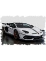 Lamborghini Aventador SVJ (Bianco Isis) 1/18 Make-Up Eidolon Make Up - 1