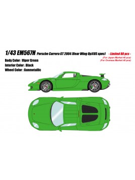 Porsche Carrera GT (Viper Green) 1/43 Make-Up Eidolon Make Up - 1