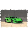 Porsche Carrera GT (Viper Green) 1/43 Make-Up Eidolon Make Up - 2