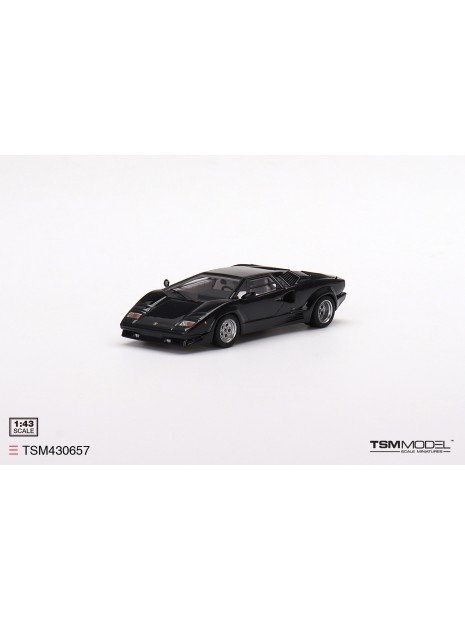 Lamborghini Countach 25th Anniversary 1/43 TSM Model TSM Model - 2