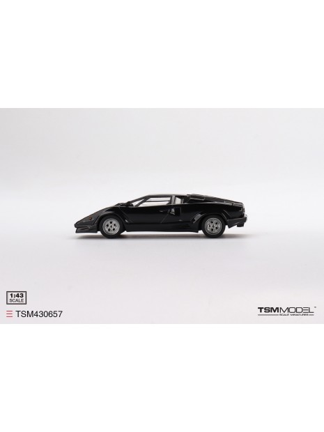 Lamborghini Countach 25th Anniversary 1/43 TSM Model TSM Model - 3